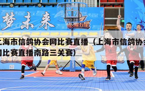 上海市信鸽协会网比赛直播（上海市信鸽协会网比赛直播南路三关赛）